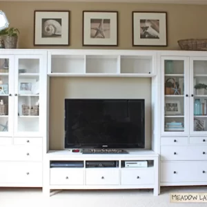 Entertainment Unit